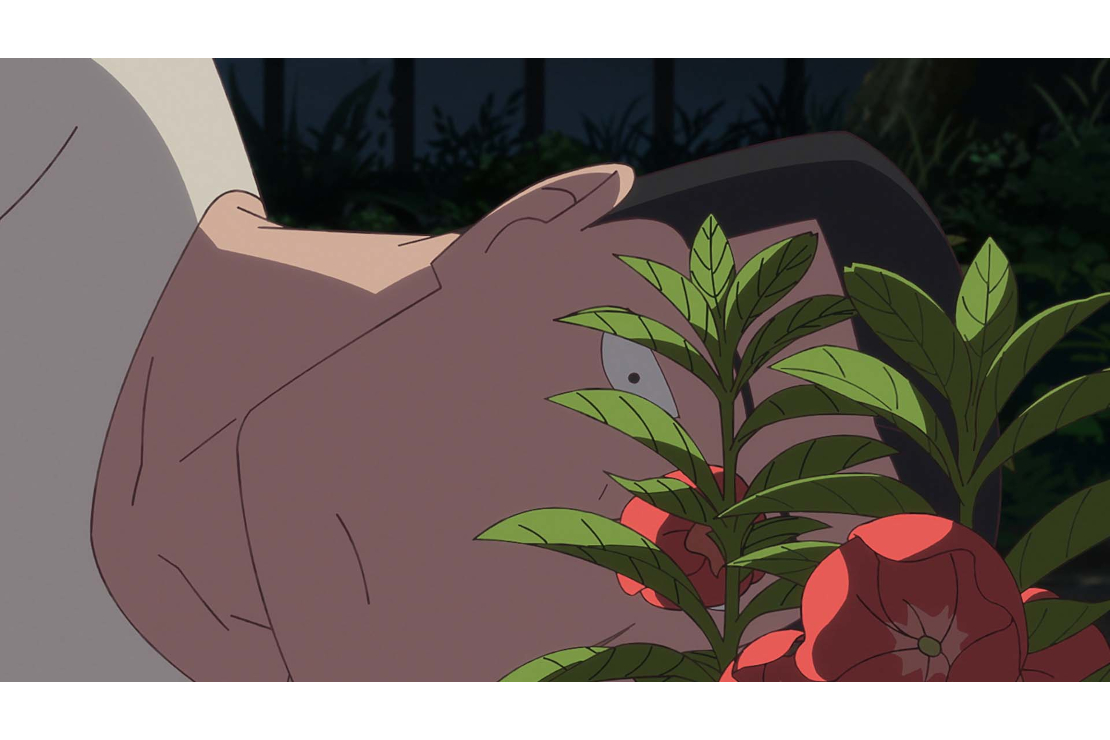 『ホウセンカ』