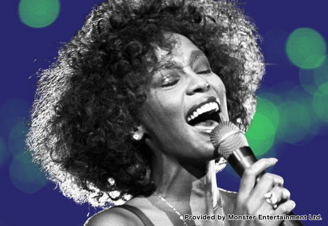 ホイットニー・ヒューストン：ヴィデオ・キルド・ザ・ラジオ・スターSP